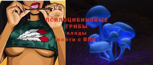 тгк Нея