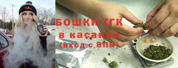 тгк Нея