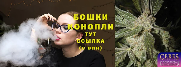 тгк Нея