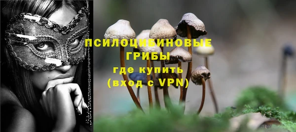 тгк Нея