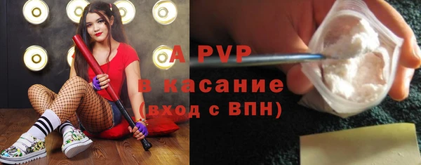 тгк Нея