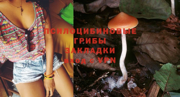 прущая мука Анива