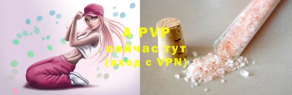 тгк Нея