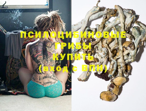 тгк Нея