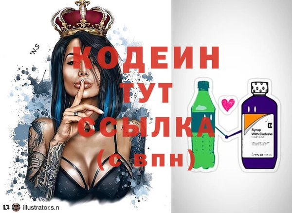 индика Нефтекумск