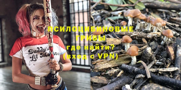 индика Нефтекумск