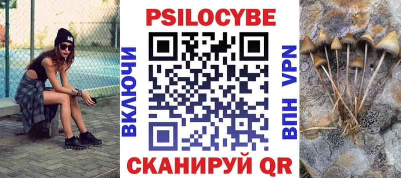 Галлюциногенные грибы Psilocybe  Староминская 